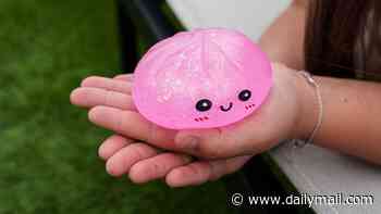 Urgent warning over 'squishy dumpling' toys that can explode and cause severe burns