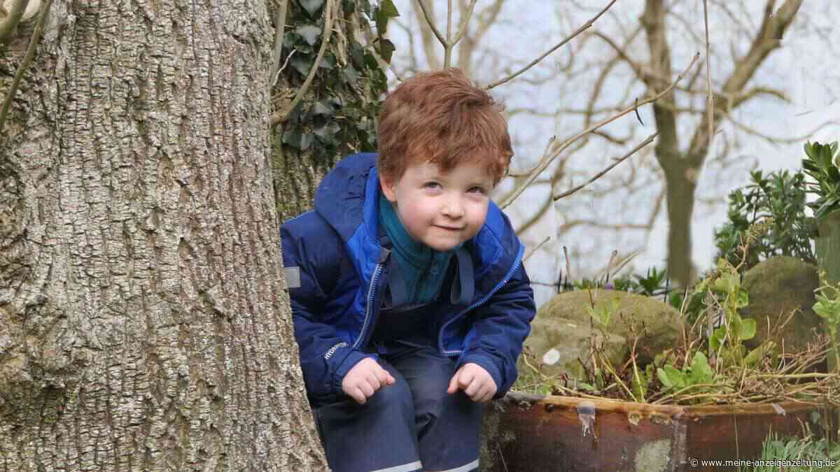Ein Vater sprach mit seinem Sohn beim Spaziergang über einen Vogel – später gewann er den Nobelpreis