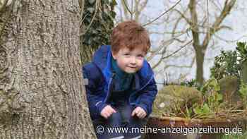 Ein Vater sprach mit seinem Sohn beim Spaziergang über einen Vogel – später gewann er den Nobelpreis