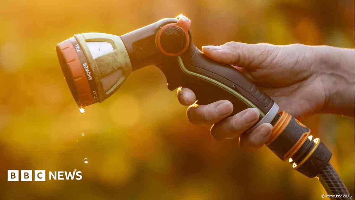 Hosepipe ban possible without 'small changes'