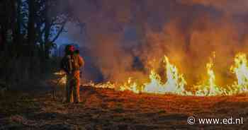 Brand in Eindhovens natuurgebied De Klotputten