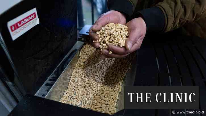 “No tenemos dónde comprar pellet”: La estrechez en el stock del combustible para calefacción que afecta a Los Lagos y Los Ríos en medio del invierno