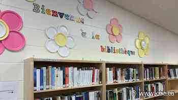 Former ministers call on Quebec to restore protected book budgets for schools