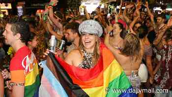 Barnaby Joyce says One Nation is 'one of the gayest parties in Australia' after candidate's controversial comment
