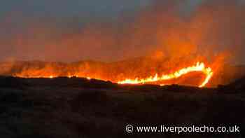 Firefighters tackle major gorse blaze in Formby dunes