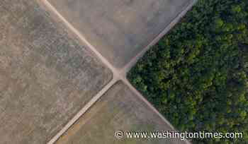 Brazil Supreme Court upholds laws that led to downfall of Amazon soy moratorium