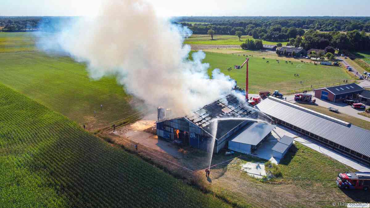 Vijf koeien omgekomen bij brand in Vlagtwedde (update)