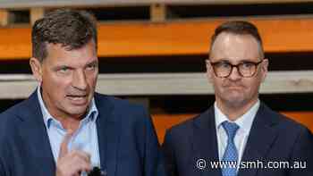 Ambitious Coalition frontbencher goes rogue on housing, migration, tax