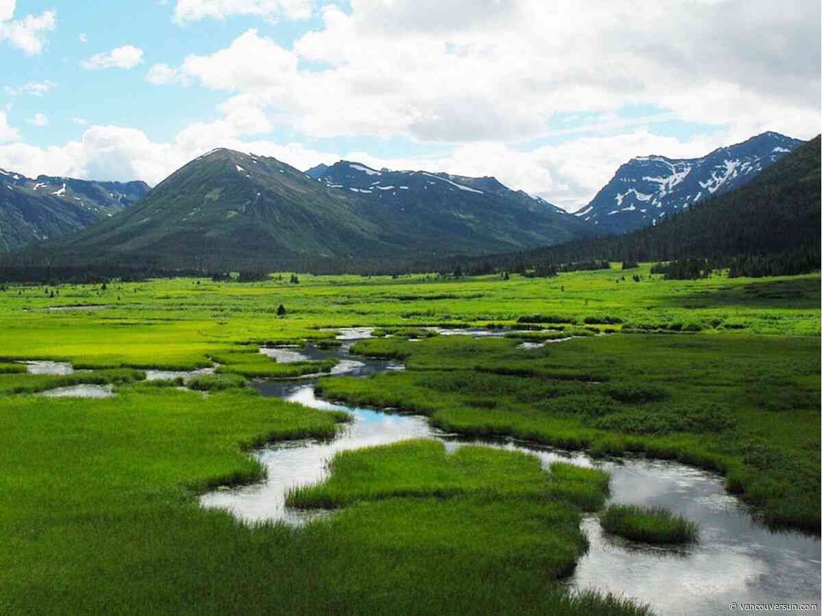 B.C. government rejects claim of massive, secret land transfers to First Nations