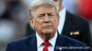 US Intelligence officials were 'skeptical about Iranian threat which prompted Trump's plane switch'