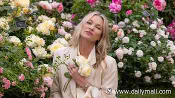 Kate Moss owes a king's ransom over her failed wellness brand after it folded with £2.9million of debts