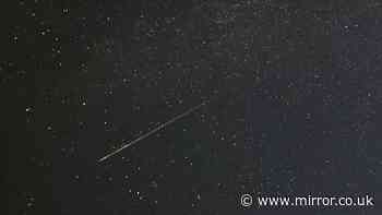 How to see 50 shooting stars on Thursday night during Perseid meteor shower - best time