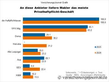 An welche Privathaftpflichtversicherer Makler das meiste Geschäft liefern