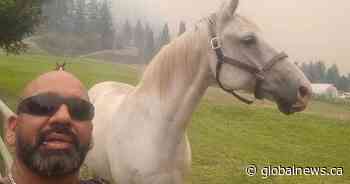 Summerland wildfire livestock ‘hero’ stopped after breaking the rules