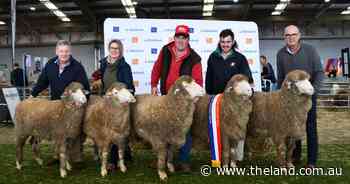 The 'one to win': why the group class is the ultimate test in the showring