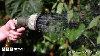 Supplier urges 'wise' water usage during heatwave