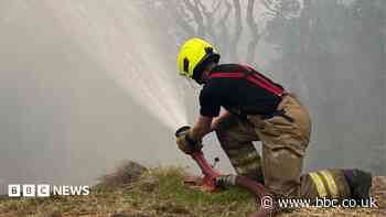 'Never in a million years did I think the fire would get near us'