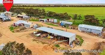 Budget-friendly broadacre farm on sales market, 1580 acres under $1m