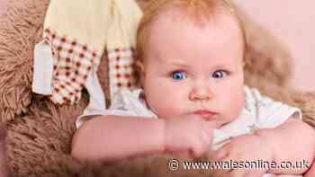 Classic 'old money' baby name taking over the UK — full list