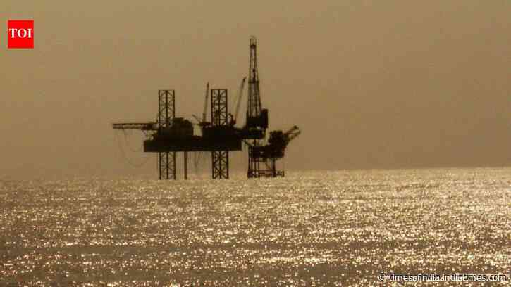Parliament panel questions why rising oil &amp; gas capex isn’t boosting production