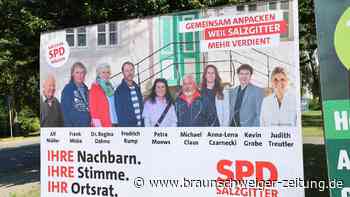 Salzgitter: Wahlplakatierung sorgt für Streit zwischen Partei und Stadtverwaltung