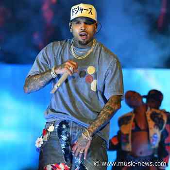 Chris Brown contests $13 million dog attack verdict