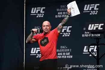 Joe Rogan rips UFC show-win pay model in blunt fighter pay criticism