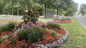Soll die Gärtnerstadt Wolfenbüttel künftig auf ihre Blumenbeete verzichten?