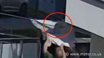 ‘Hero’ neighbours catches toddler who fell from fifth-floor balcony in incredible footage