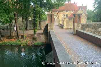 Warum die Stever in Lüdinghausen trotz Dürre noch genug Wasser führt