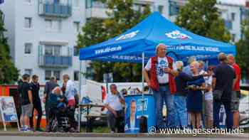 Studie: AfD-Politik nicht auf Arbeiter ausgerichtet