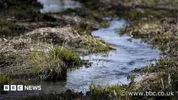 Farmer fights order to undo brook straightening