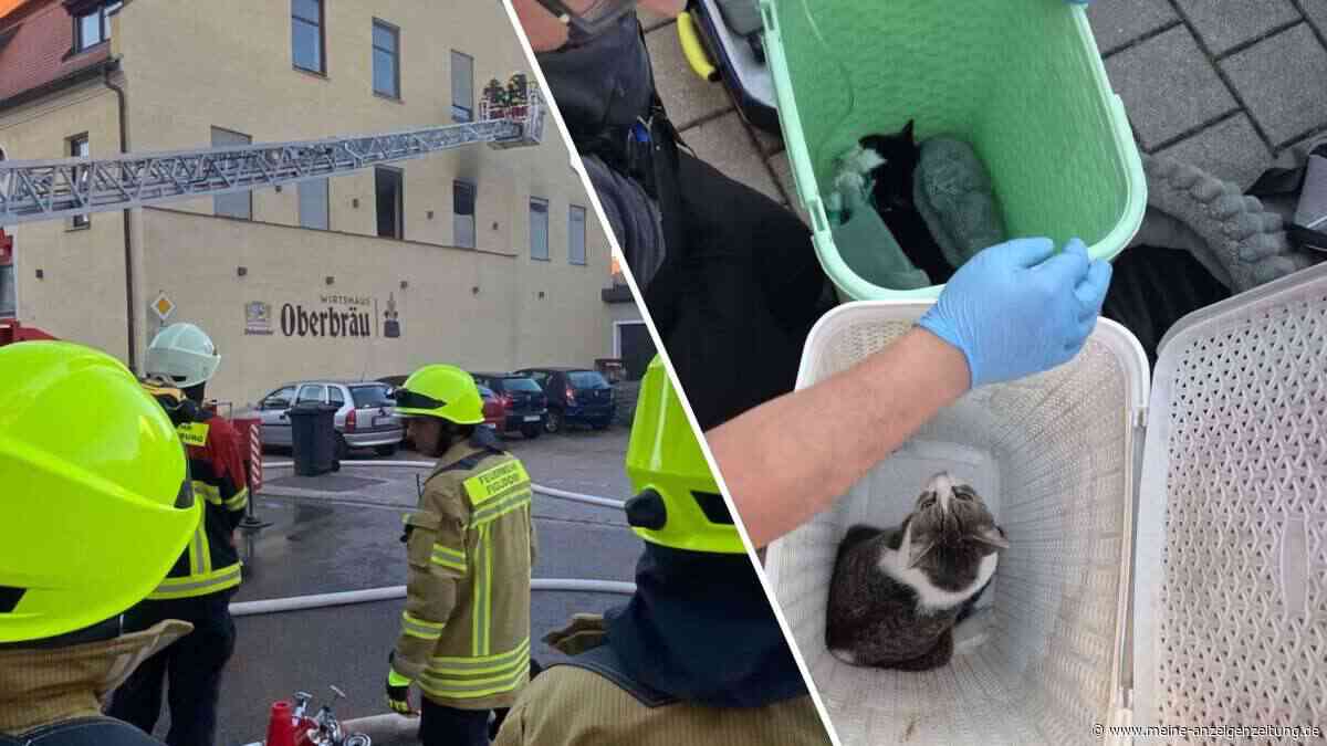 Großbrand in Nandlstadt: Feuer fordert fünf Verletzte – Katzen gerettet, Bewohner evakuiert
