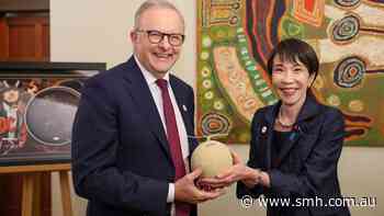 Taste testing the Japanese melon at the heart of a political stink