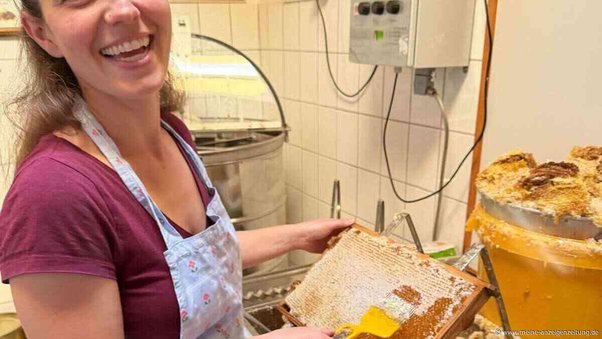 Erdinger Imker ziehen trotz Hitze und Trockenheit positive Bilanz