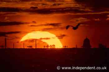 The best pictures as stargazers treated to astral delight with eclipse and meteor shower on same evening