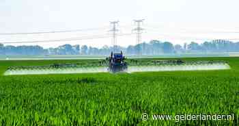 Ruim twintig pesticiden opnieuw onder de loep, na verbod schimmelbestrijder