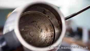 35p item will remove stubborn limescale buildup in kettles