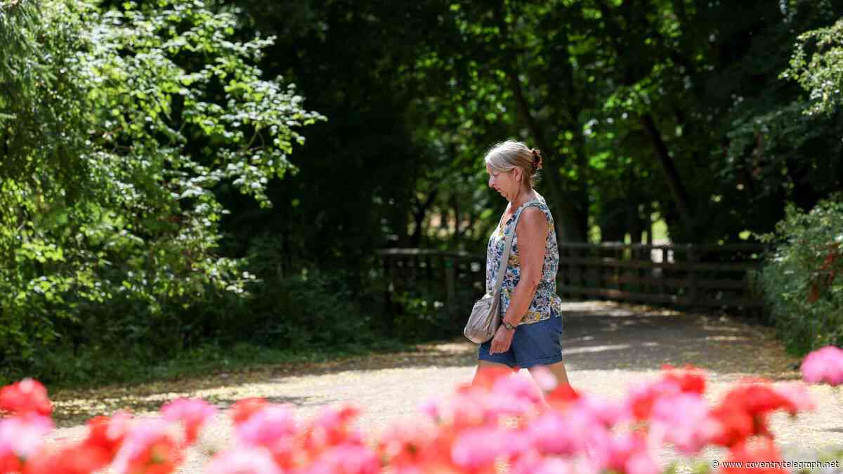 35C heat to roast Coventry for three hours today - hour by hour forecast