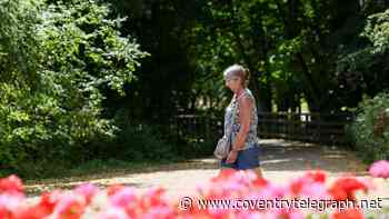 35C heat to roast Coventry for three hours today - hour by hour forecast