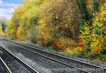 Thorpe Park Rail Station Plans Move Forward as Public Consultation Opens