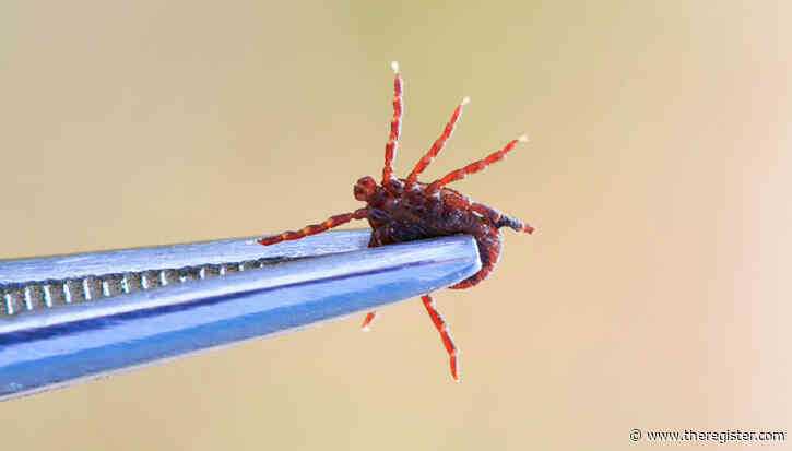 Deeply buried 16-year-old SQLite bug caused last year's Tailscale outages