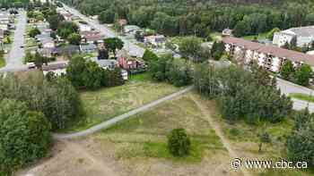 Thunder Bay, Ont., residents rally to halt loss of green space as city eyes hundreds of housing units