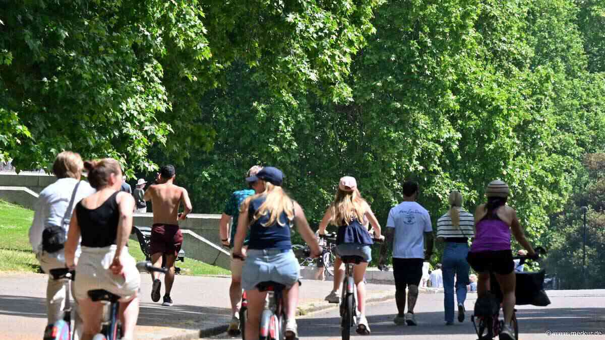 Bittere Branchenpleite: Fahrrad-Riese Accell insolvent – für beliebte Marken gibt es erste Hoffnung