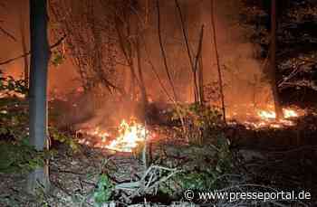 POL-PILAN: Brand im Wald
