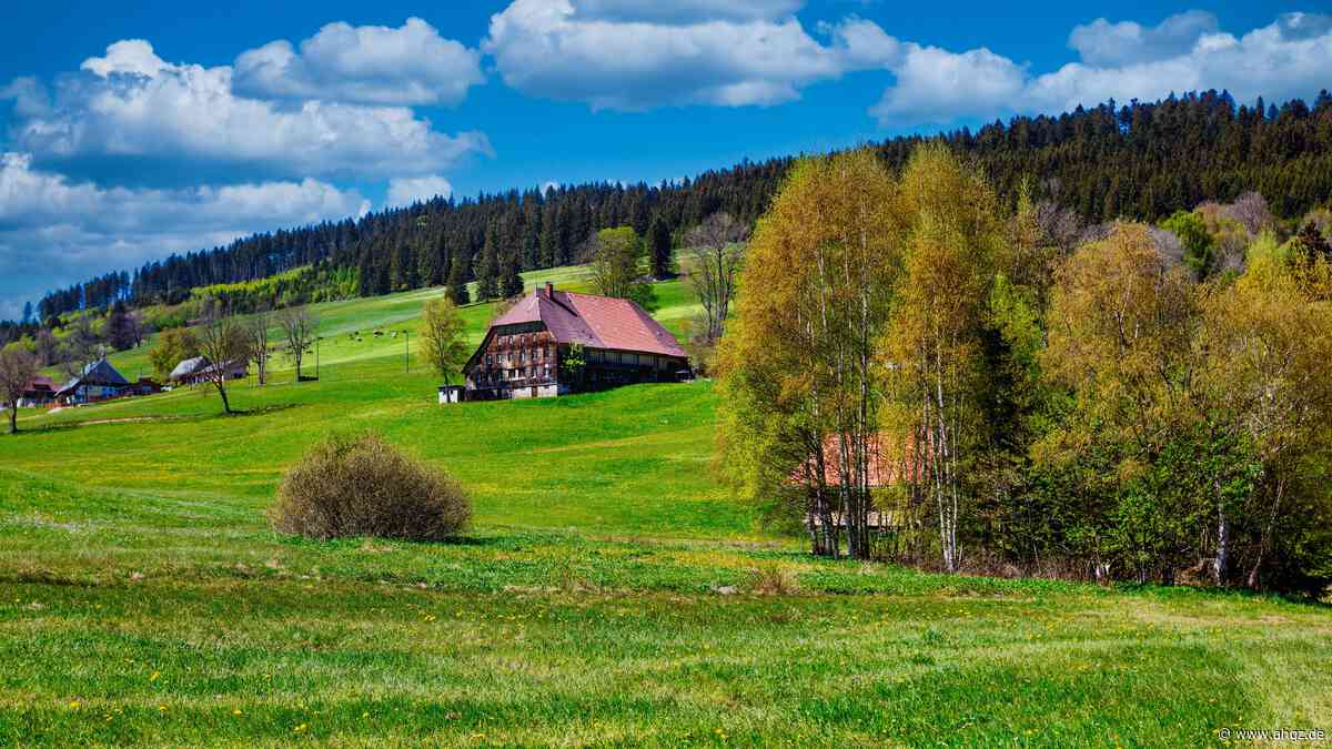 Tourismus: Deshalb zieht es immer mehr Südeuropäer in den Schwarzwald