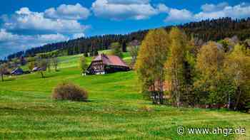Tourismus: Deshalb zieht es immer mehr Südeuropäer in den Schwarzwald