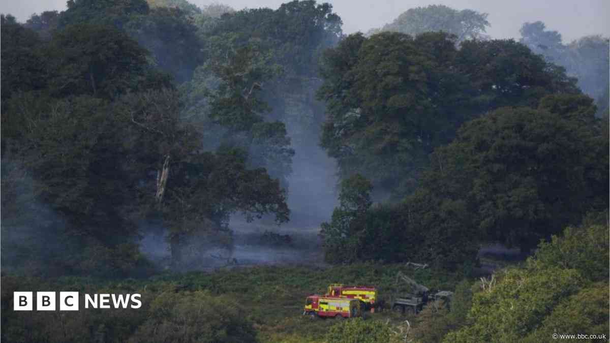 How are firefighters coping with wildfires?