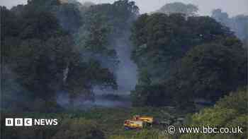 How are firefighters coping with wildfires?