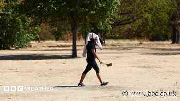 Amber Met Office extreme heat warning issued as temperatures could reach 38C